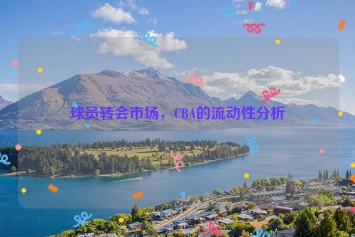 球员转会市场，CBA的流动性分析