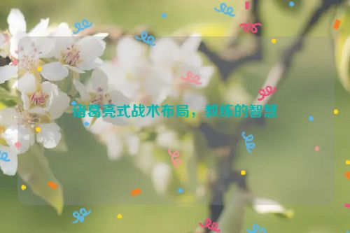 诸葛亮式战术布局，教练的智慧