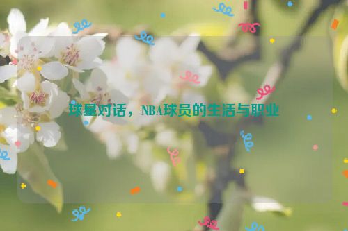 球星对话，NBA球员的生活与职业