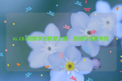 65. CBA的数字化转型之路，创新与挑战并存